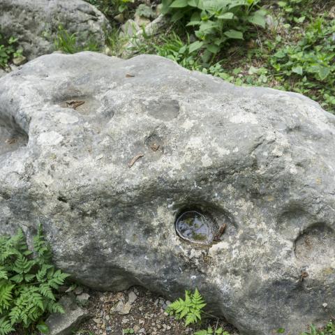 Su un sasso a terra vicino al torrente Isla sono visibili le impronte attribuite al Diavolo