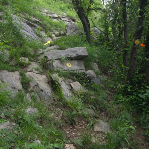 Foto nr. 6 Ora il sentiero si inerpica tra rocce affioranti - © G.S. Marinelli, riproduzione vietata.