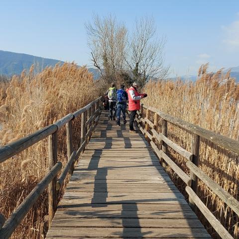 Inizio percorso sud delle Torbiere del Sebino  - &copy; G.S. Marinelli, riproduzione vietata.