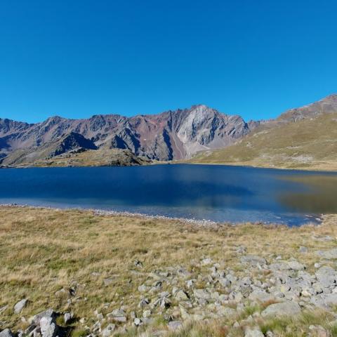   - &copy; G.S. Marinelli, riproduzione vietata.