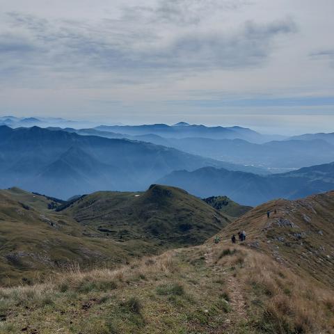   - &copy; G.S. Marinelli, riproduzione vietata.