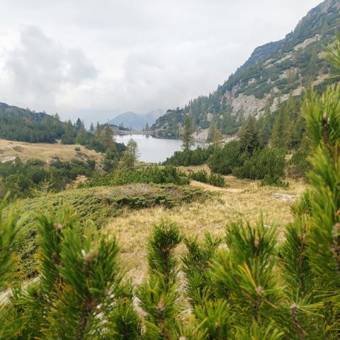   - &copy; G.S. Marinelli, riproduzione vietata.