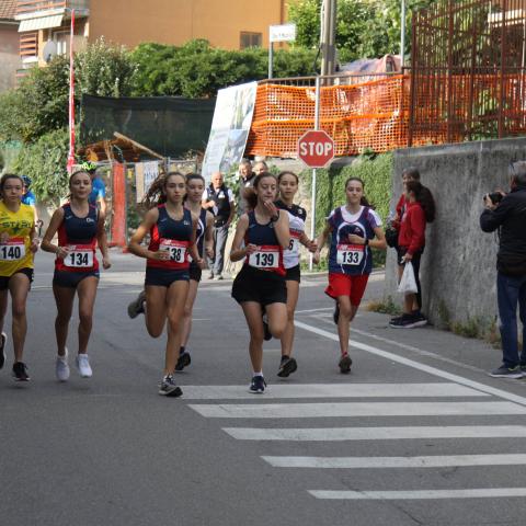  6 - &copy; G.S. Marinelli, riproduzione vietata.