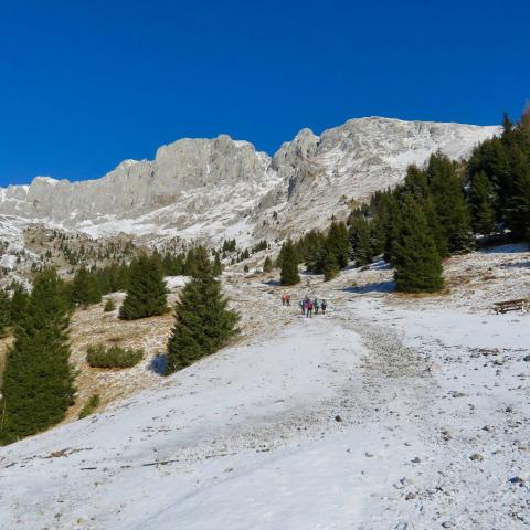   - &copy; G.S. Marinelli, riproduzione vietata.