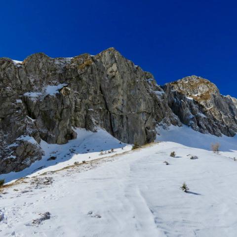   - &copy; G.S. Marinelli, riproduzione vietata.