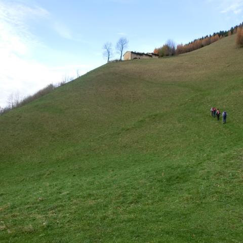   - &copy; G.S. Marinelli, riproduzione vietata.
