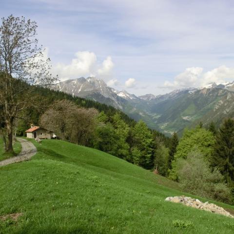   - &copy; G.S. Marinelli, riproduzione vietata.