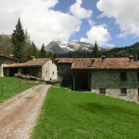   - &copy; G.S. Marinelli, riproduzione vietata.