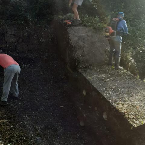 Pulizia valle Pelodà