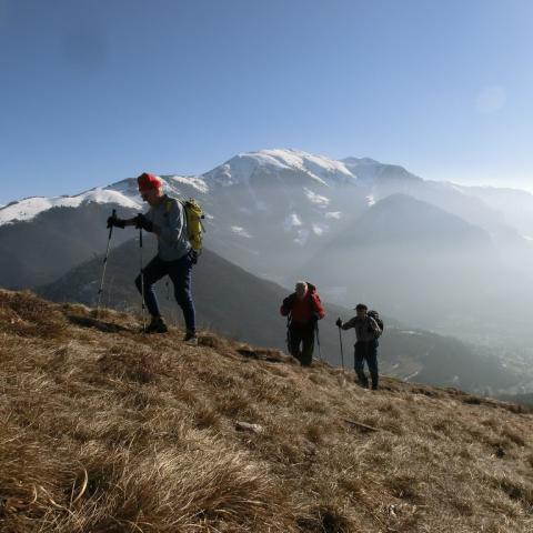   - &copy; G.S. Marinelli, riproduzione vietata.