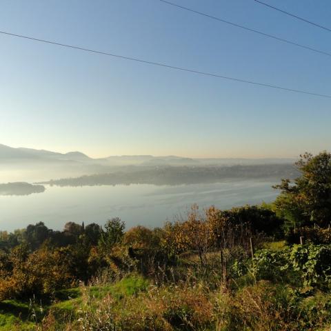  - &copy; G.S. Marinelli, riproduzione vietata.