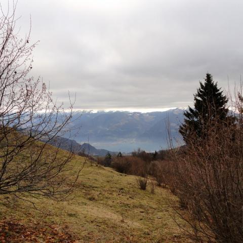   - &copy; G.S. Marinelli, riproduzione vietata.