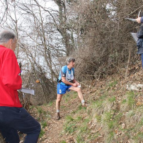   - &copy; G.S. Marinelli, riproduzione vietata.