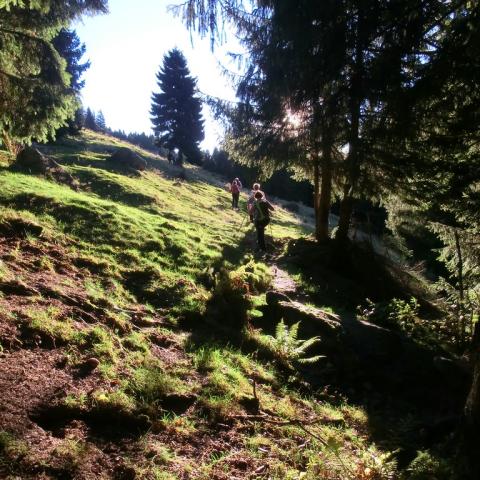   - &copy; G.S. Marinelli, riproduzione vietata.