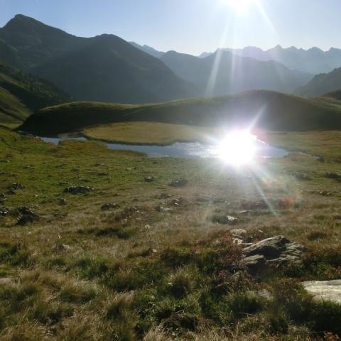   - &copy; G.S. Marinelli, riproduzione vietata.