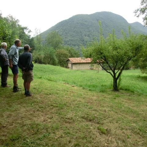   - &copy; G.S. Marinelli, riproduzione vietata.