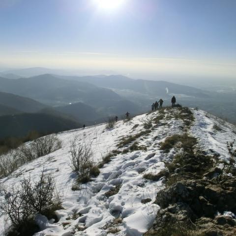   - &copy; G.S. Marinelli, riproduzione vietata.