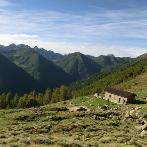   - &copy; G.S. Marinelli, riproduzione vietata.
