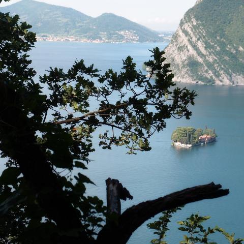   - &copy; G.S. Marinelli, riproduzione vietata.