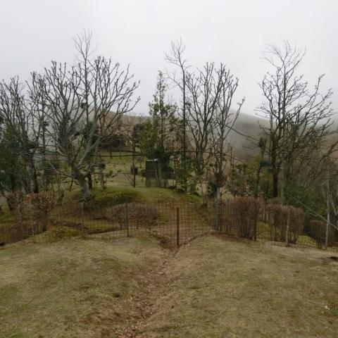   - &copy; G.S. Marinelli, riproduzione vietata.