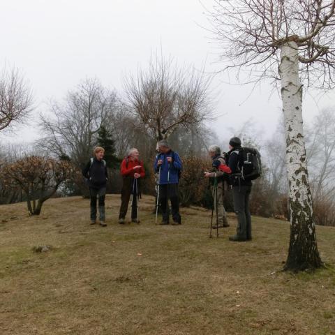   - &copy; G.S. Marinelli, riproduzione vietata.