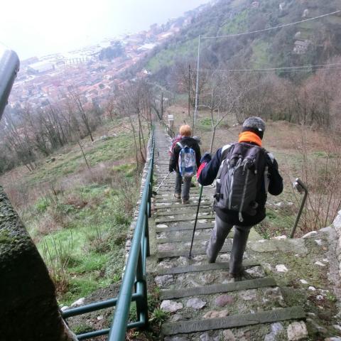  - &copy; G.S. Marinelli, riproduzione vietata.