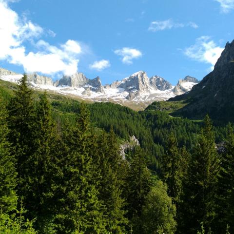  - &copy; G.S. Marinelli, riproduzione vietata.