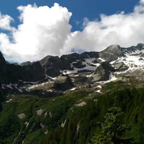   - &copy; G.S. Marinelli, riproduzione vietata.