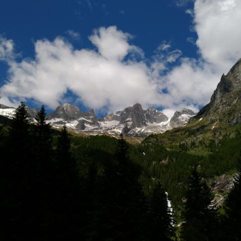   - &copy; G.S. Marinelli, riproduzione vietata.