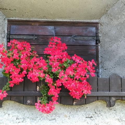   - &copy; G.S. Marinelli, riproduzione vietata.
