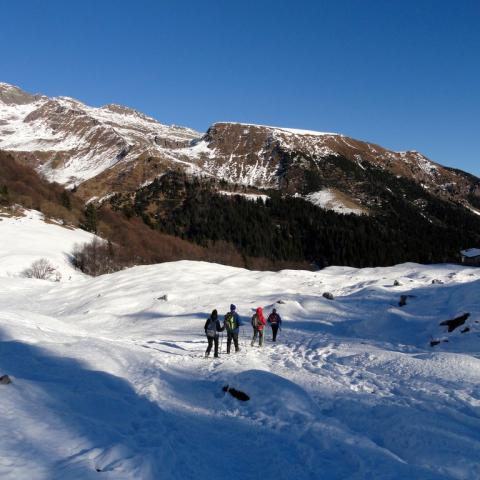   - &copy; G.S. Marinelli, riproduzione vietata.