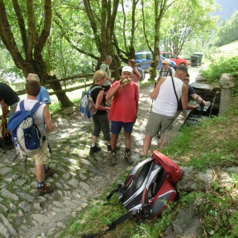   - &copy; G.S. Marinelli, riproduzione vietata.