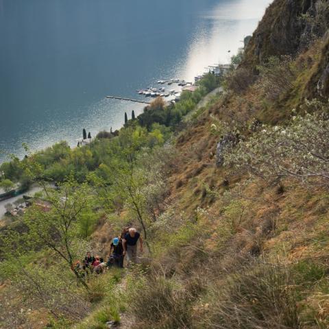   - &copy; G.S. Marinelli, riproduzione vietata.