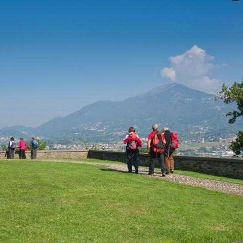   - &copy; G.S. Marinelli, riproduzione vietata.