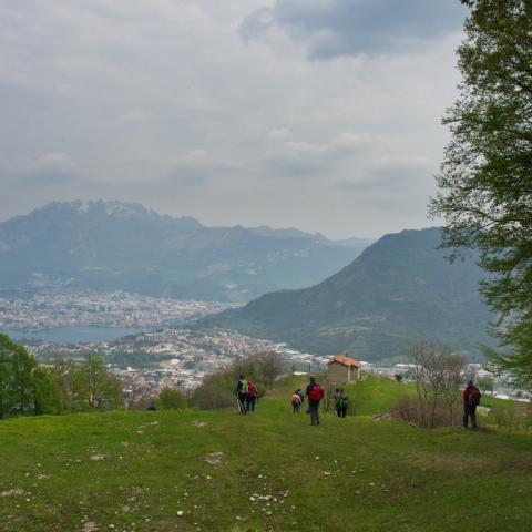   - &copy; G.S. Marinelli, riproduzione vietata.