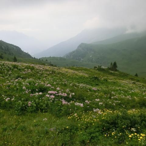   - &copy; G.S. Marinelli, riproduzione vietata.