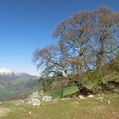   - &copy; G.S. Marinelli, riproduzione vietata.